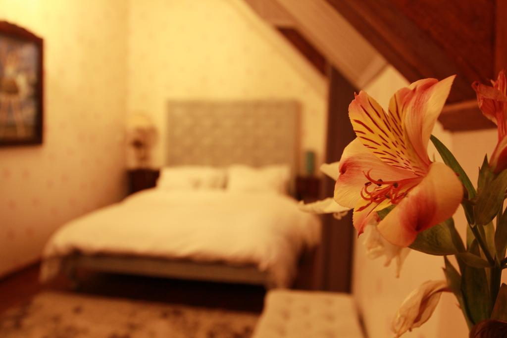 Lokanga Boutique Hotel 안타나나리보 외부 사진